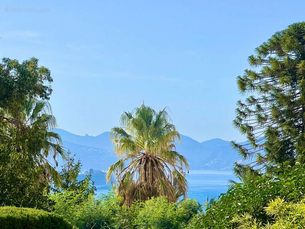 Cannes basse californie villa t6 individuelle 405m2vue mer calme,  piscine terrain 1800m2 garage - photo 4