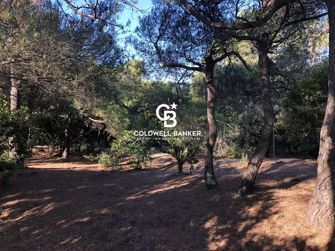 Terrain à LA CROIX-VALMER