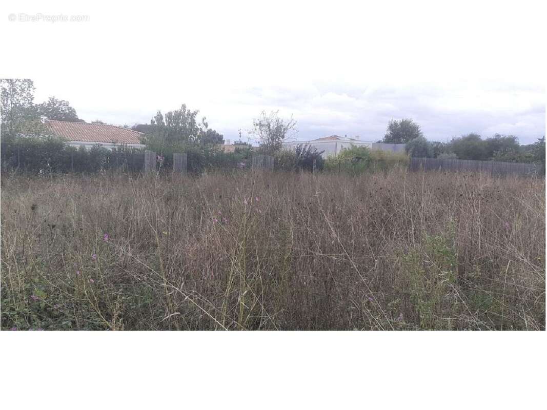 Terrain à TOULOUSE