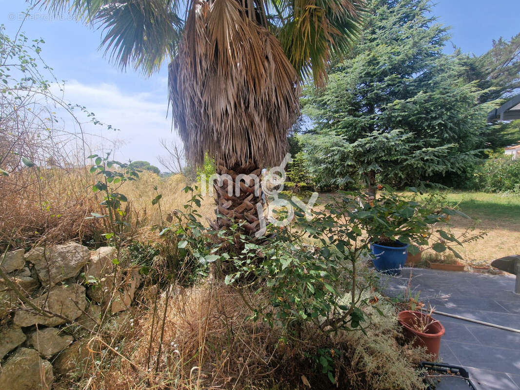 Maison familiale spacieuse de 213 m2 à Salles d'Aude, proche des plages - photo 25