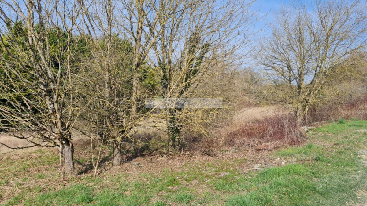 Terrain constructible Douzat 3000 m2 - photo 3