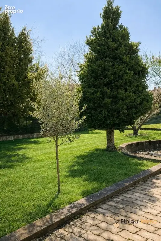 Maison 200 m² à Souffelweyersheim  - photo 2