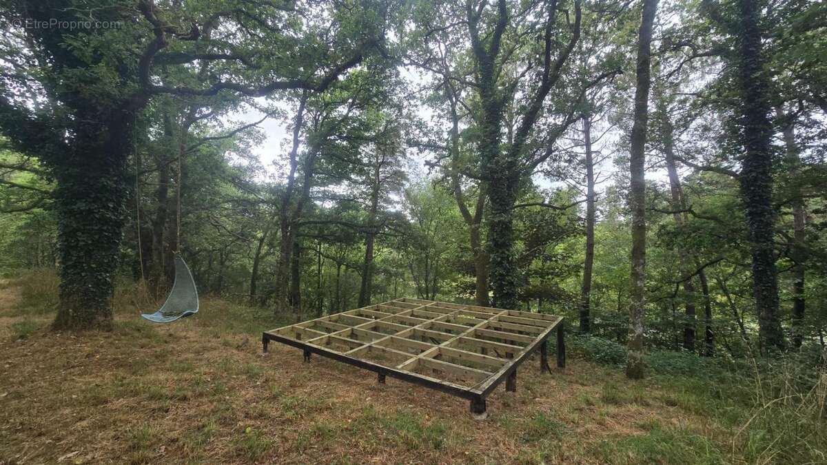 La tranquillité absolue avec un étang d'  un hectare et maison de plain-pied - photo 3