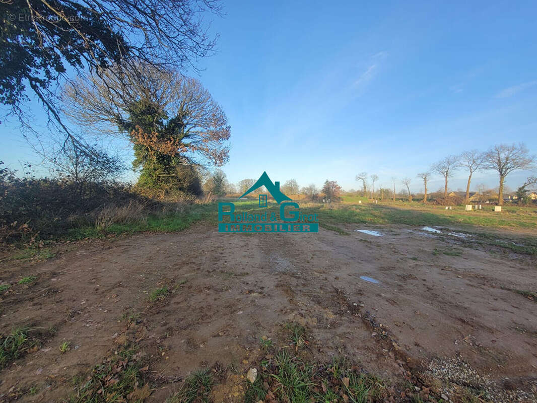 Terrain à SAINT-AUBIN-DU-CORMIER