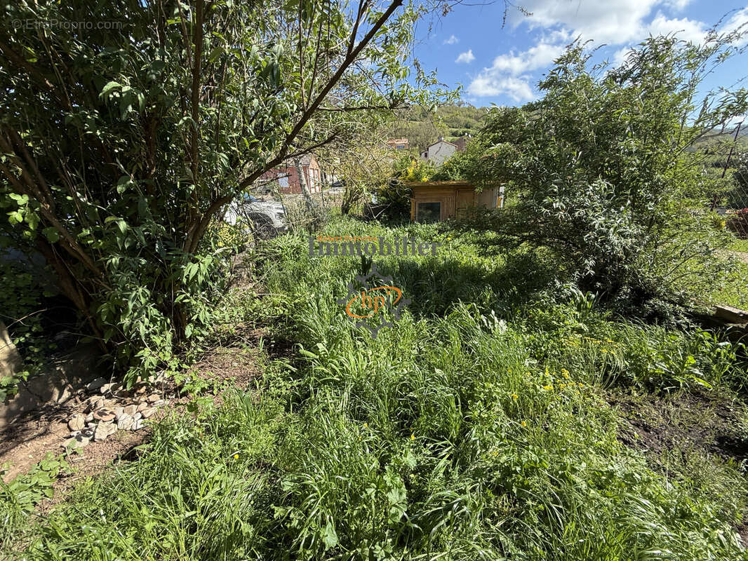 Vente maison avec terrain et dépendances Saint Victor et Melvieu - photo 3
