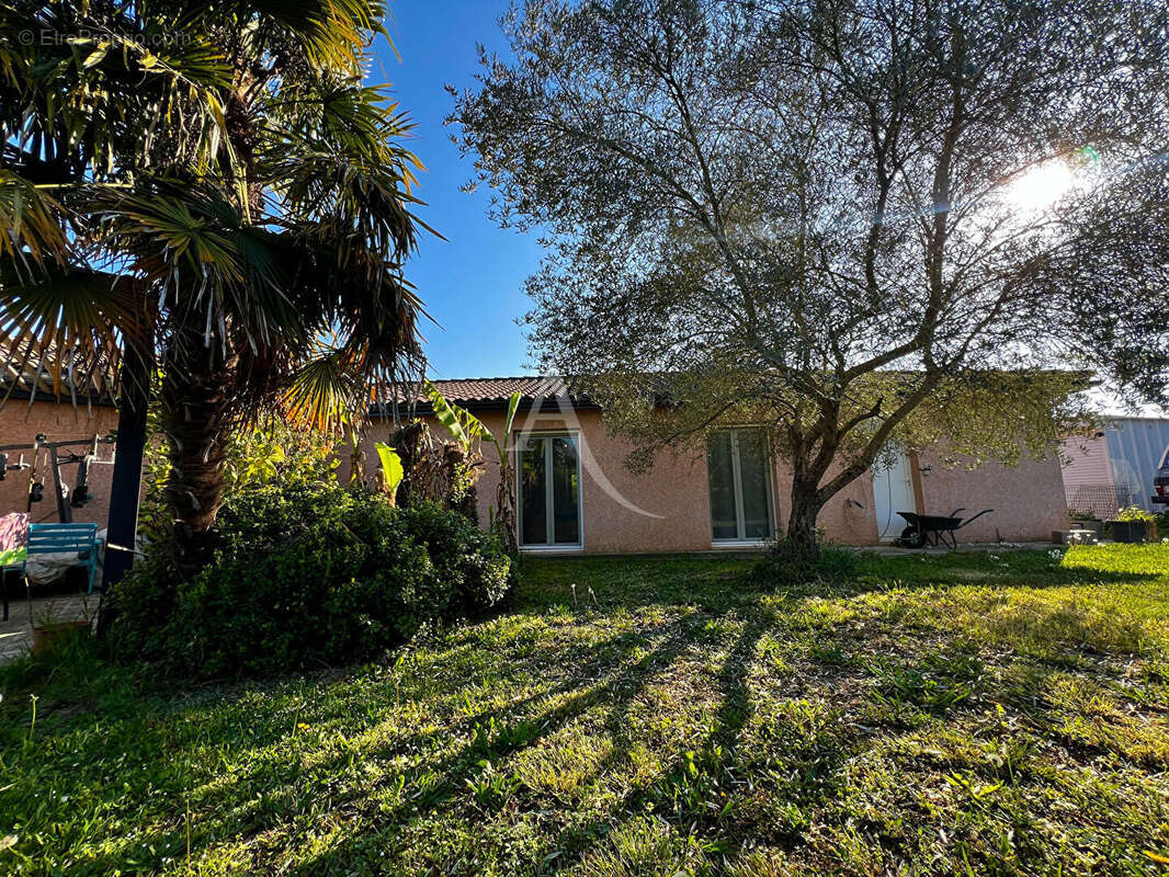 Maison à VILLENEUVE-TOLOSANE