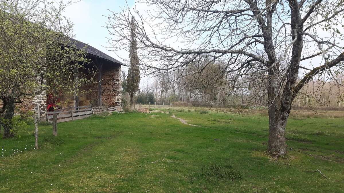 Maison et granges, et maison à rénover, avec environ  3,8 hectares de terrain - photo 4