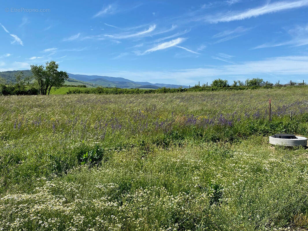 Terrain à TARTARAS
