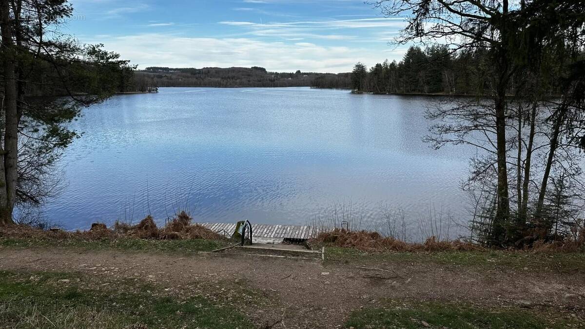 Commerce à MONTSAUCHE-LES-SETTONS