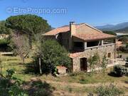 Maison à BELVEDERE-CAMPOMORO