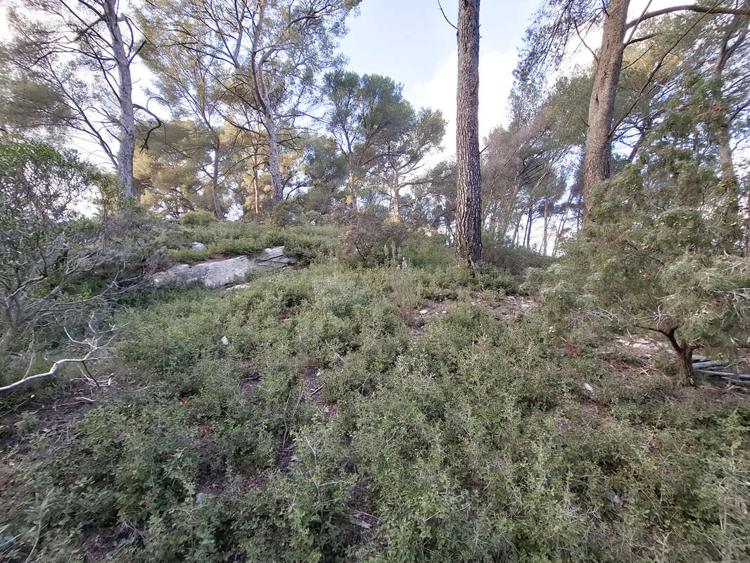 Rare propriété 7000 m2 de terrain tranquillité absolue, villa T4/5 de 157 m2 au calme proche des commodité à 5 - photo 13