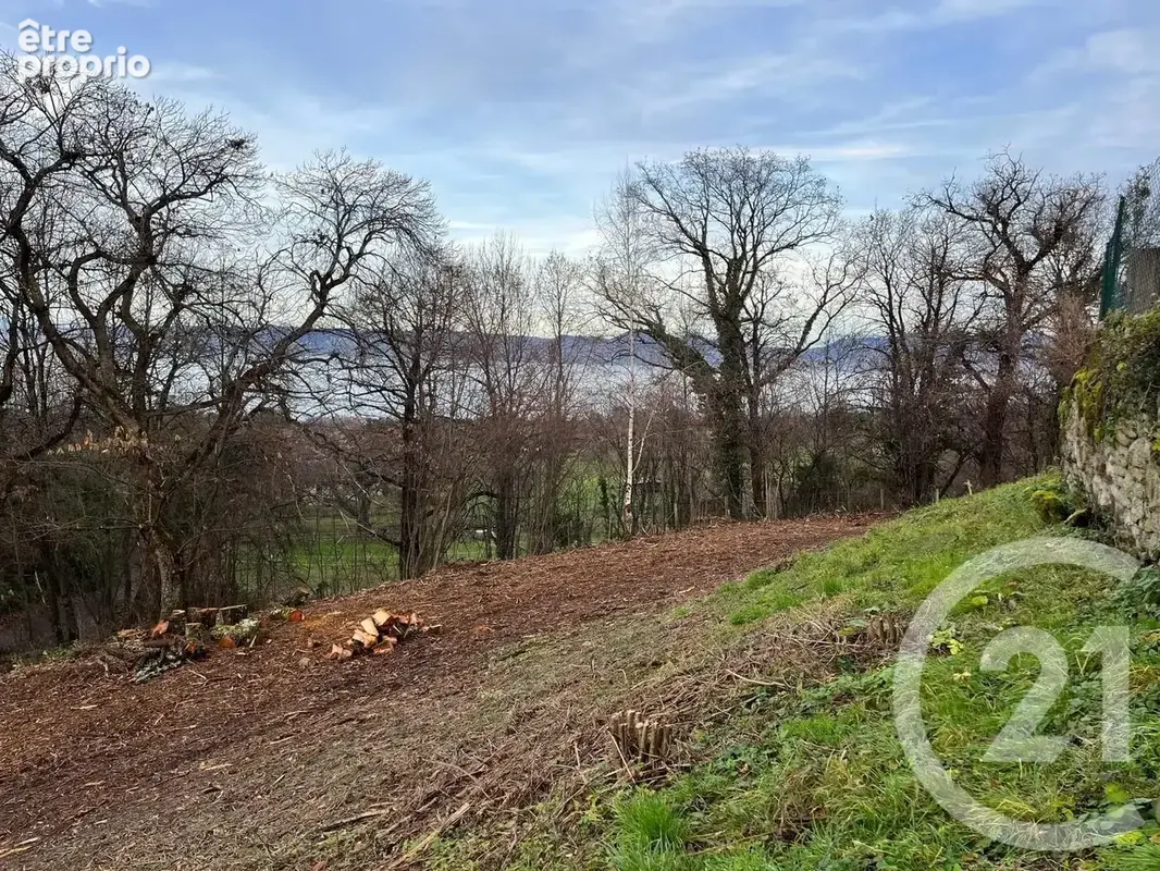Terrain 1 458 m² à vendre à Maxilly-Sur-Leman (74500) - photo 3