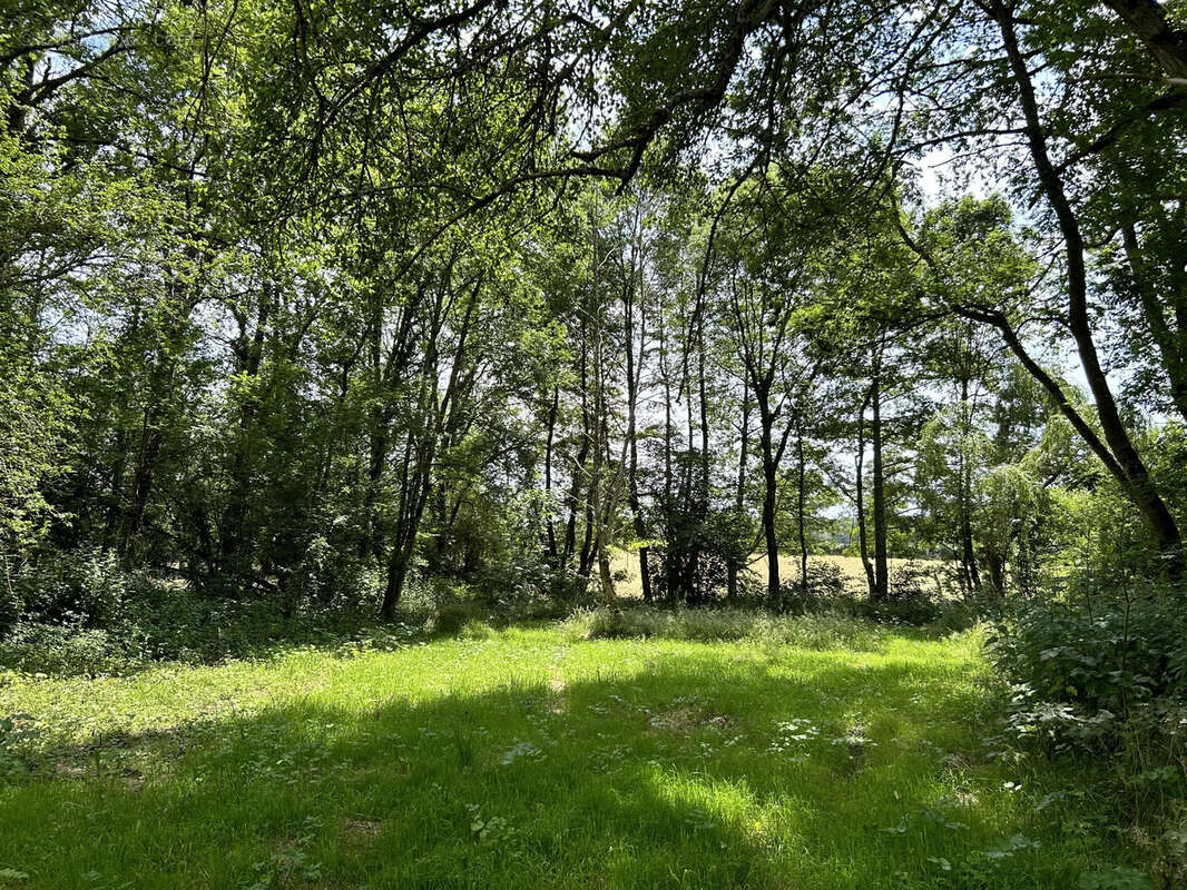 Ancien Moulin à Lignac  -  Propriété sans vis à vis de 249m2 habitables  au coeur de 4 hectares de nature - photo 21
