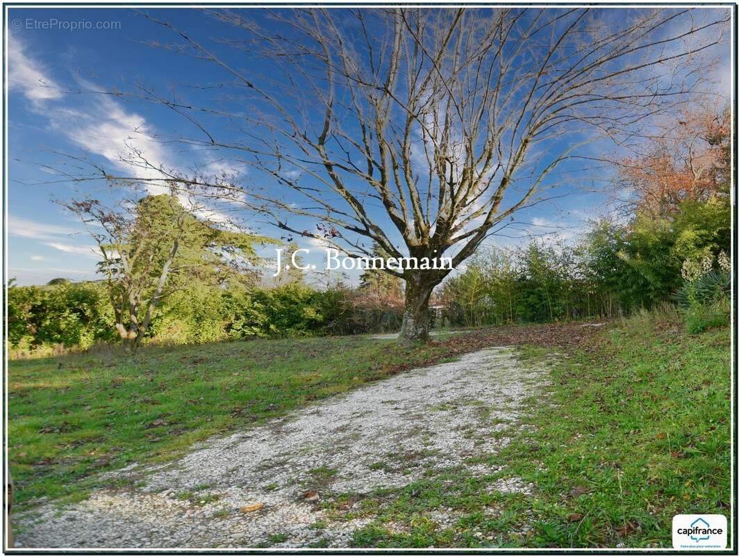 Dpt Drôme (26), à vendre BEAUMONT LES VALENCE - Terrain de 550,00 m² Hors Lotissement - photo 3