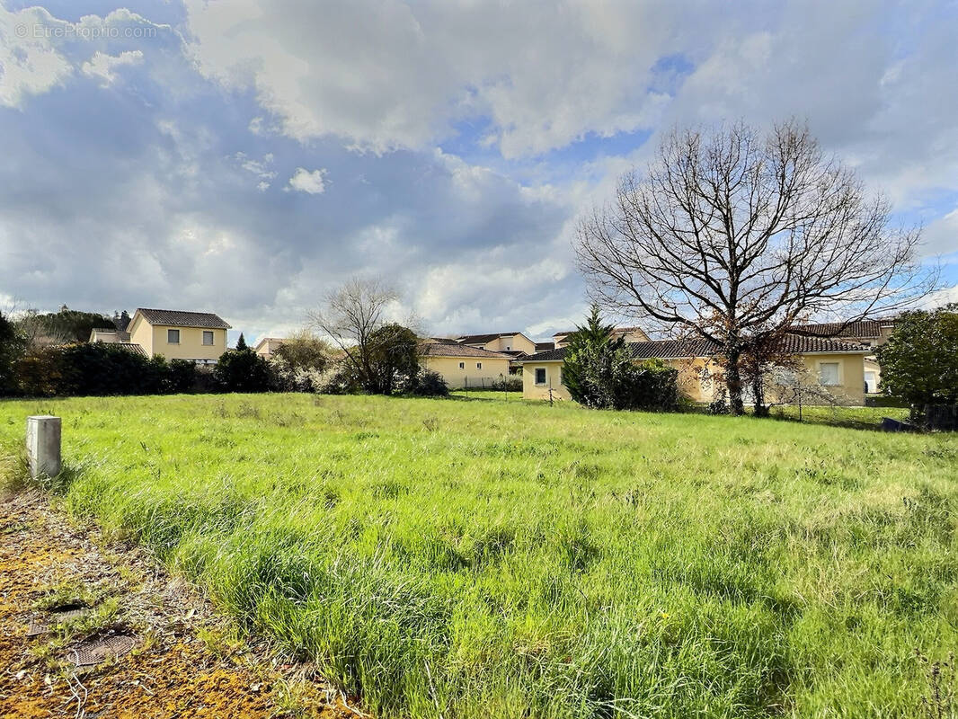 Terrain à LAVAUR