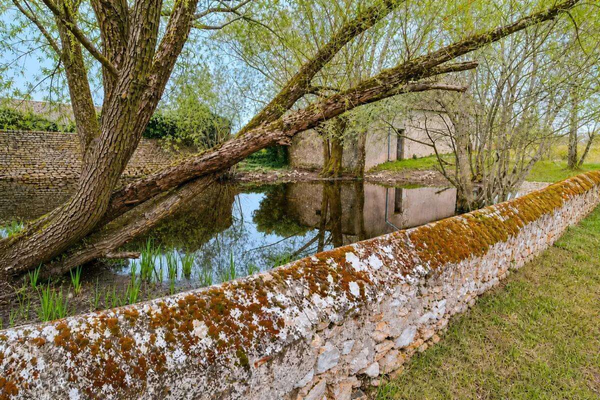Ferme de 294 m² avec dépendances à Moisy - photo 23