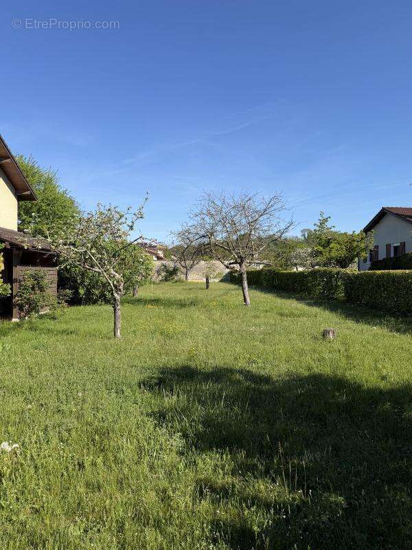 Dagneux terrain 632m2 - photo 2