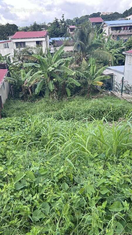 Terrain à FORT-DE-FRANCE