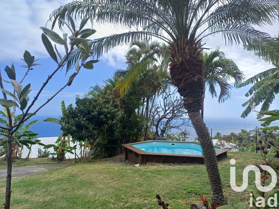 Photo 1 - Maison à LES AVIRONS