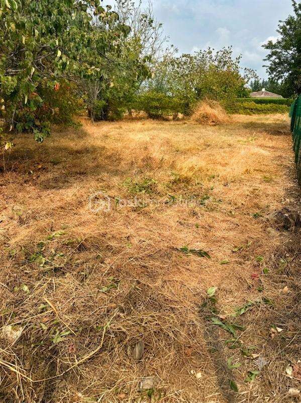 Terrain viabilisé divisible et constructible avec permis accordé1553 m2 vue sur les Pyrénées-89 000€ FAI - photo 7