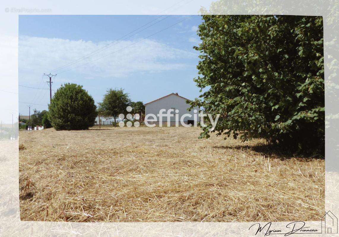 Terrain 1070 m² à Saint-Macaire-En-Mauges  - photo 2