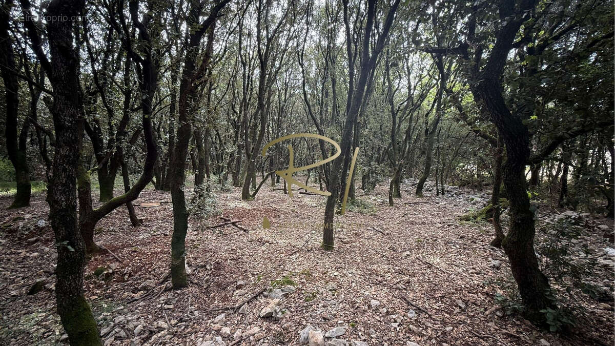 Terrain à Bâtir Sud Ardèche - photo 2
