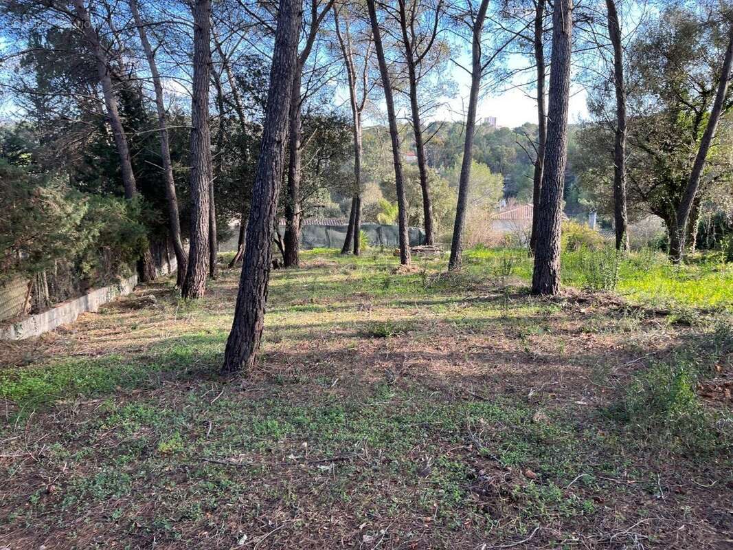 Terrain à MOUGINS