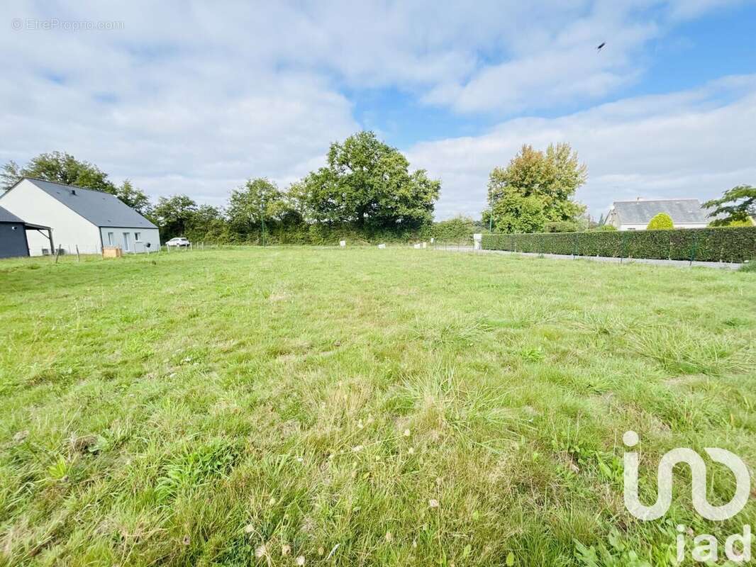 Photo 3 - Terrain à LUSANGER