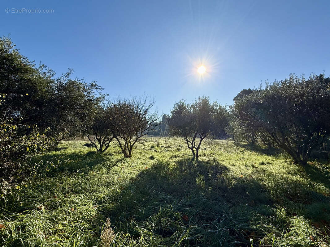 Maison à CHATEAURENARD
