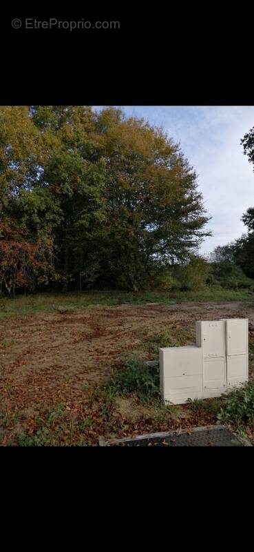Terrain à AMBARES-ET-LAGRAVE