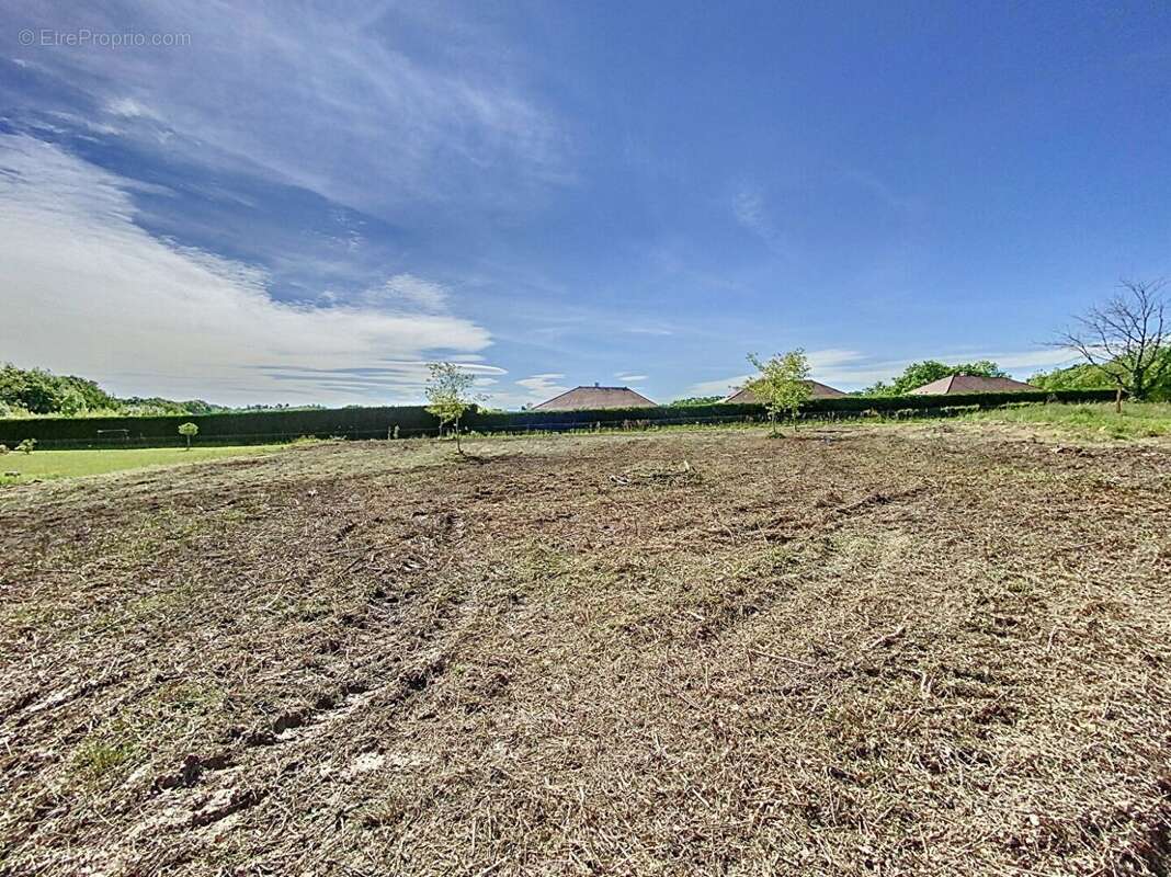 56317589c.jpg - Terrain à LAGOR