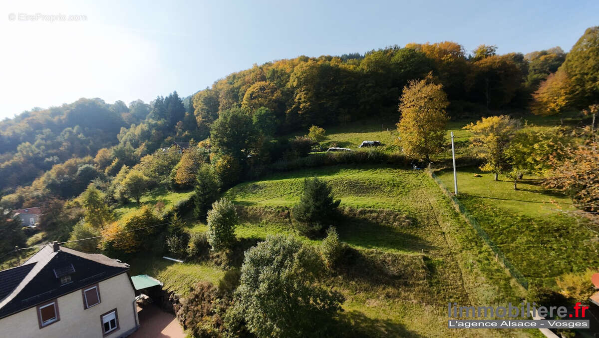 Terrain à WILDERSBACH