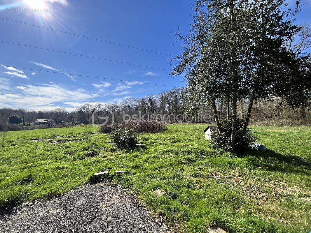 Superbe maison de campagne fraîchement rénovée sur son magnifique terrain au cœur de la forêt - photo 24