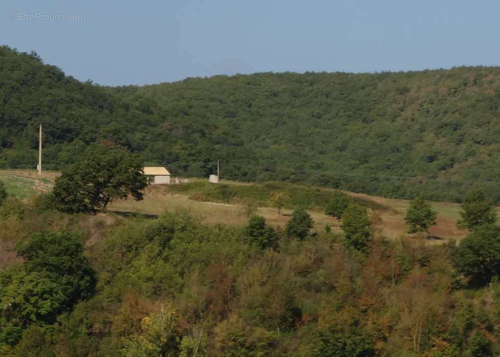 Maison à VABRES-L'ABBAYE