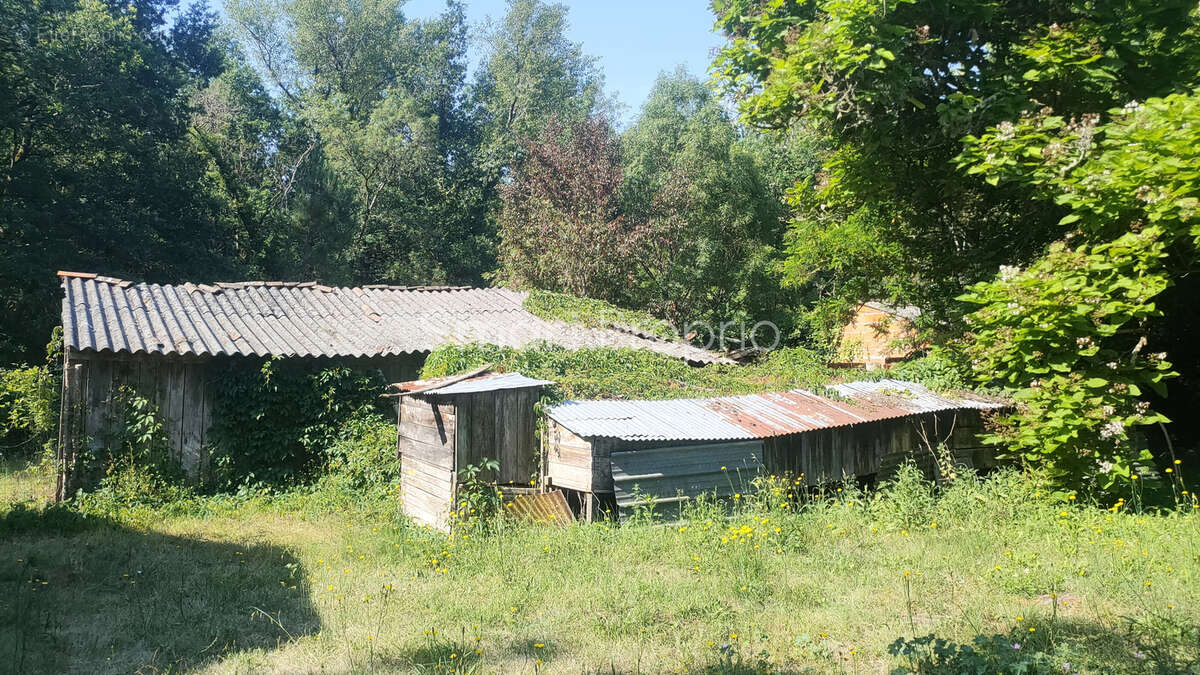 Maison à LARUSCADE