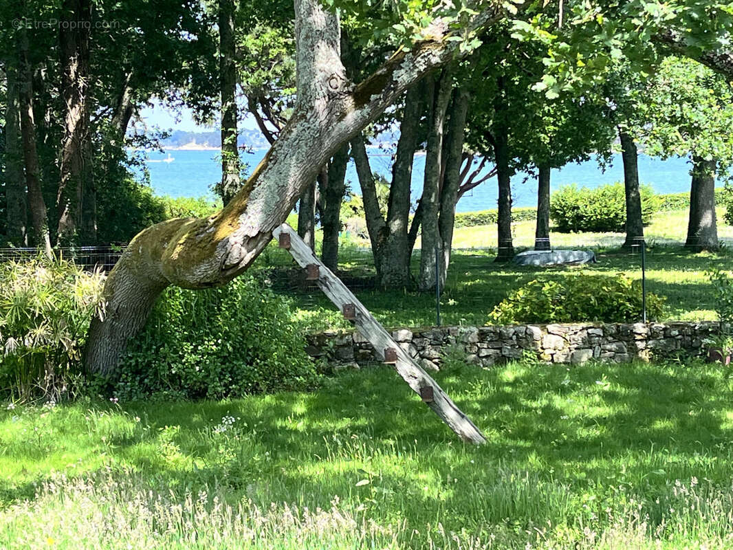 Maison à ILE-AUX-MOINES