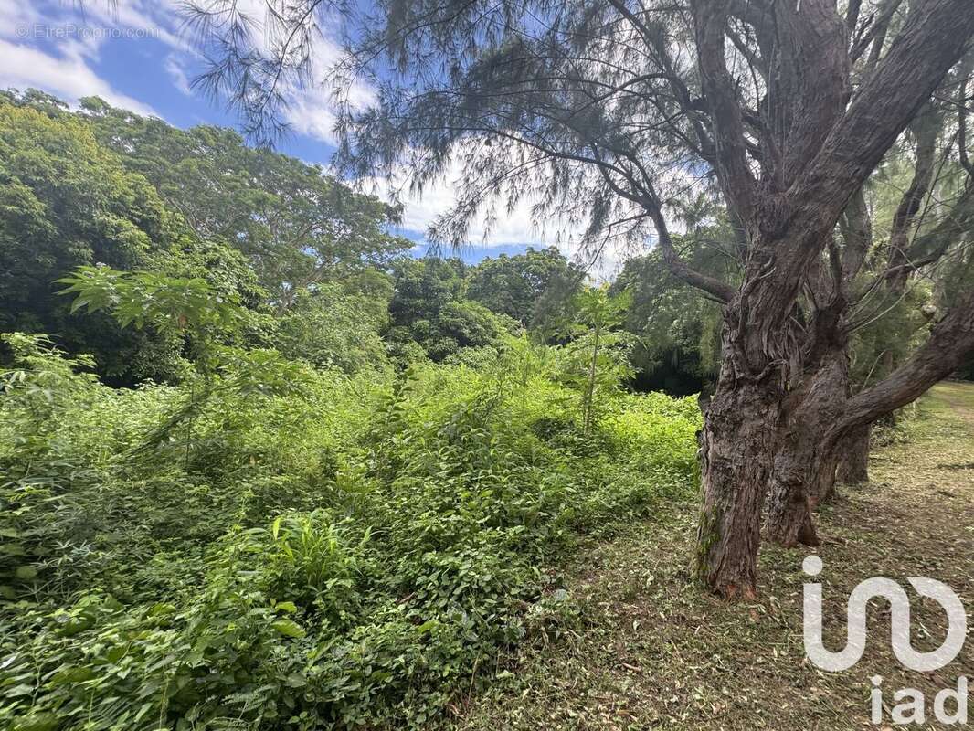 Photo 5 - Terrain à SAINT-PAUL