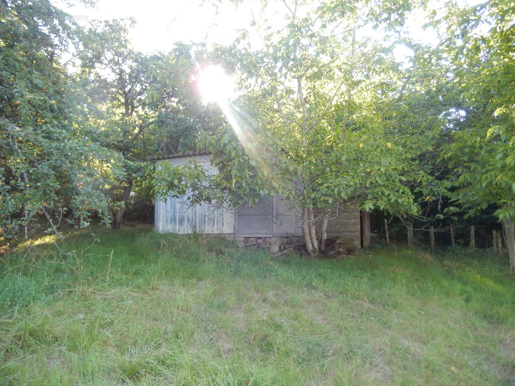 Terrain à SAINT-SYMPHORIEN-DE-MARMAGNE