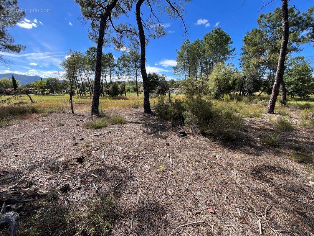 Terrain à LES ASSIONS