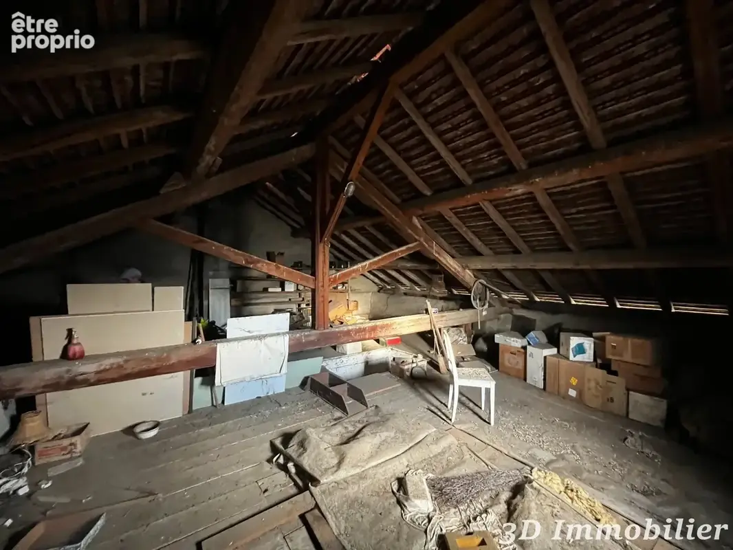 Maison 10 pièces 450 m² à vendre à Douvaine (74140) - photo 7