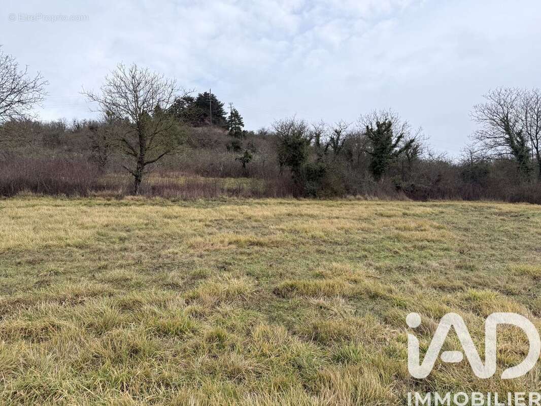 Terrain 943 m² à Saint-Aubin-Sur-Yonne  - photo 3