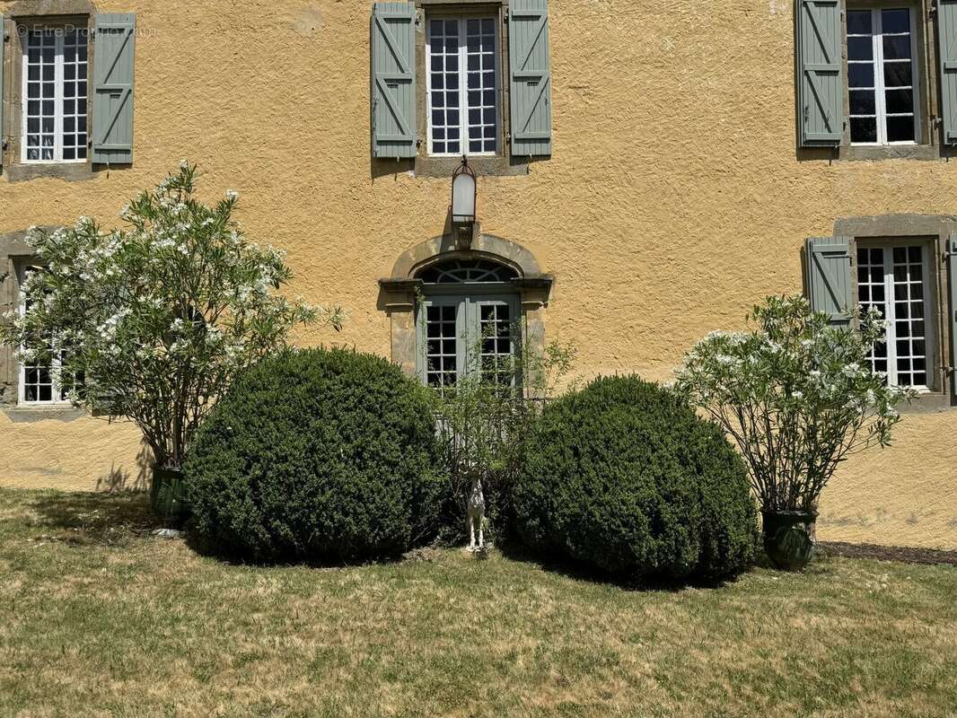 Maison 398 m² à Riscle  - photo 8
