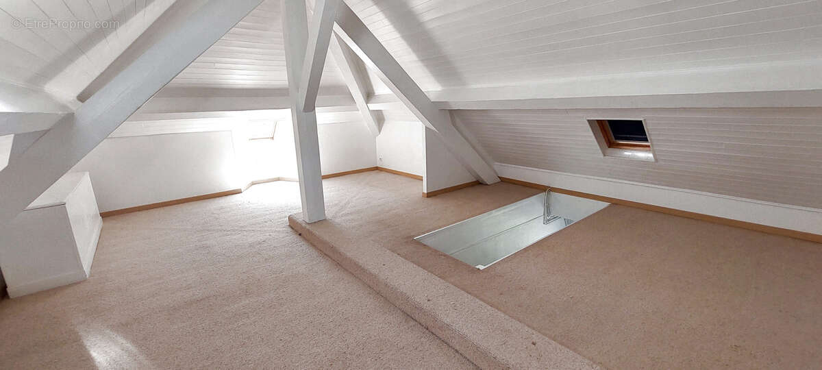 Magnifique propriete de 350 m2 - photo 11
