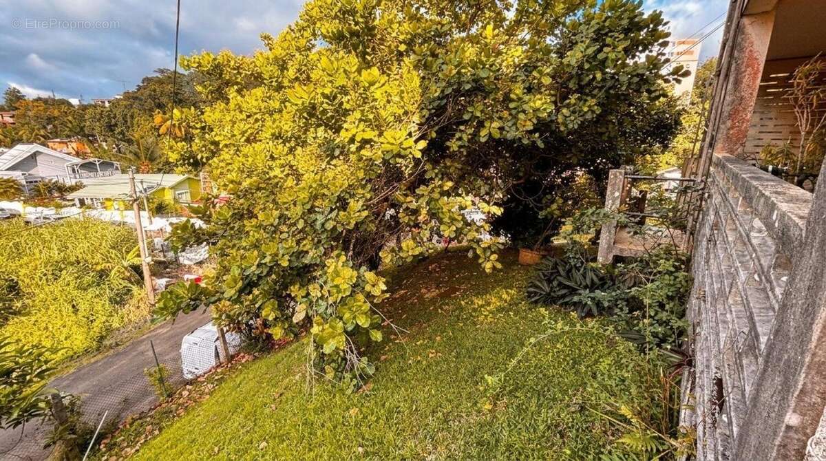 Photo 6 - Maison à FORT-DE-FRANCE