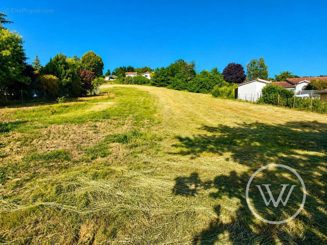 Terrain 2033 m² à Les Cotes-D'arey  - photo 8