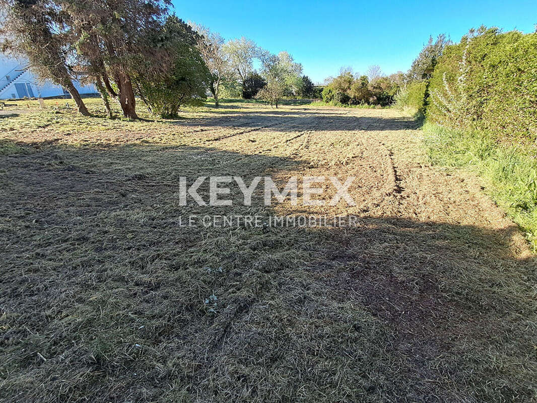 Terrain à LA TURBALLE