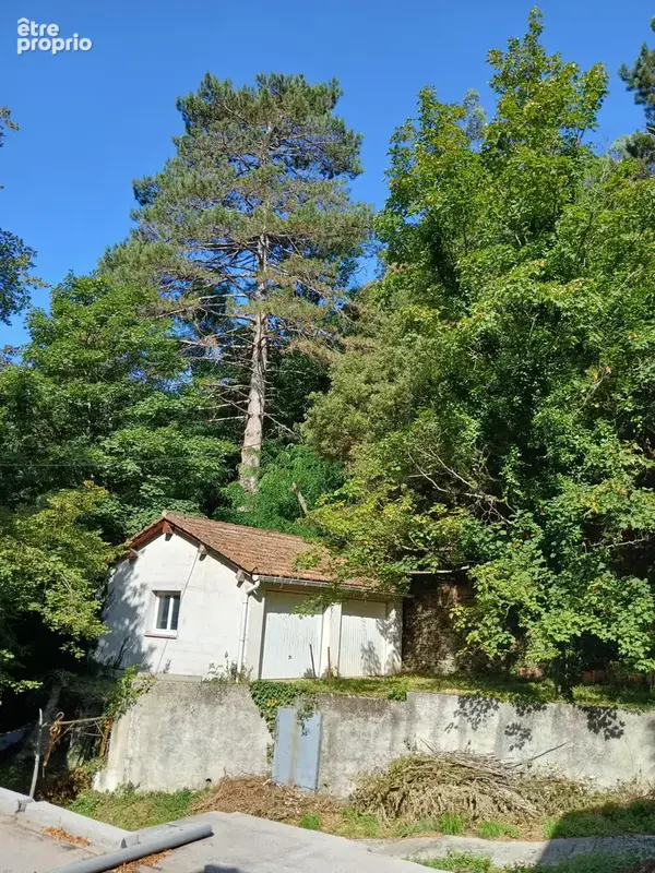 MAS 360 de volume + 25 hectares. - photo 17