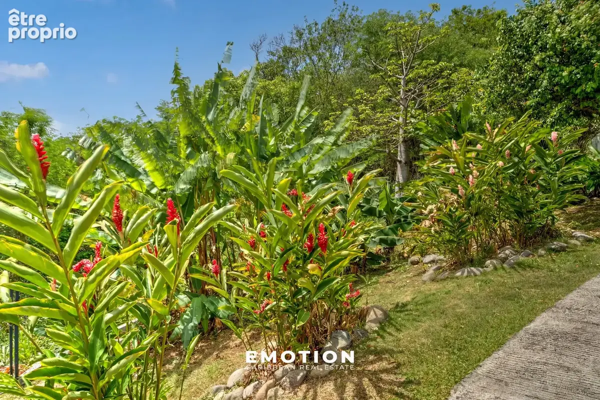 Villa 5CH vue mer / Bouillante, Guadeloupe - photo 10