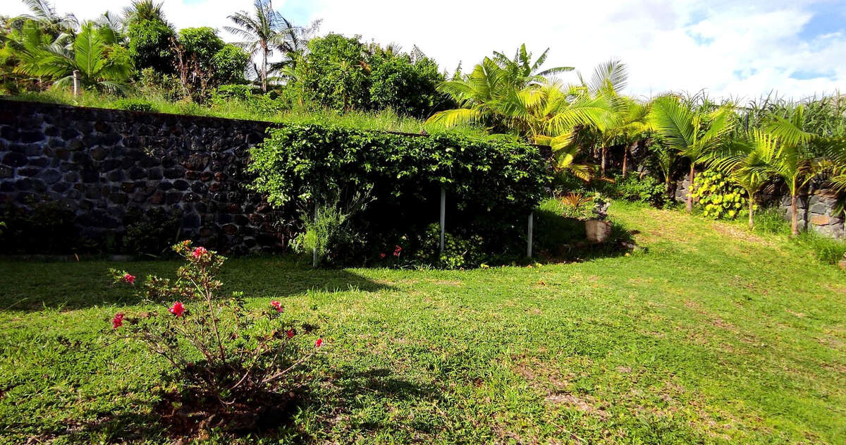 Terrain à SAINT-JOSEPH