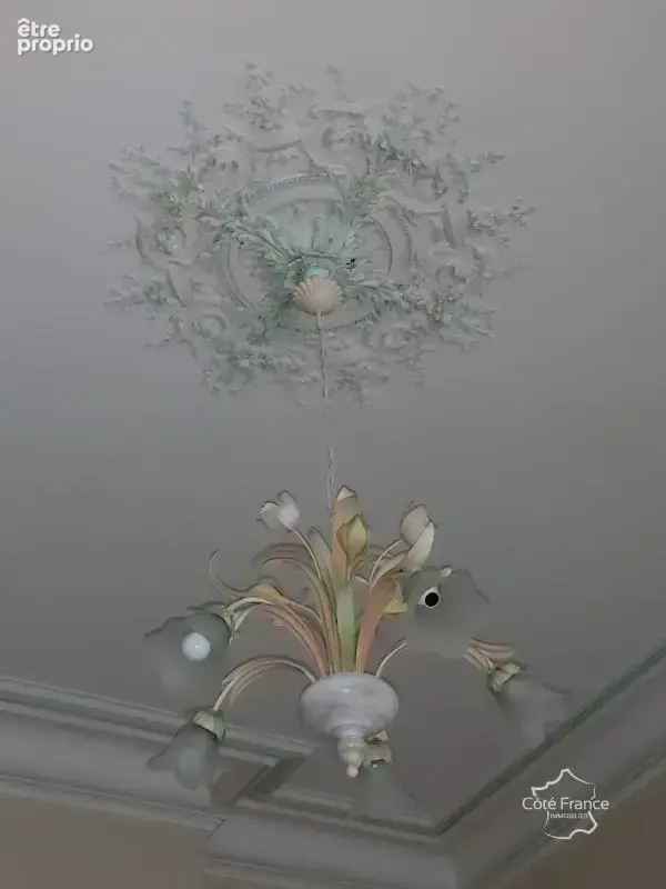 Maison de Maître Avec dépendances - photo 7